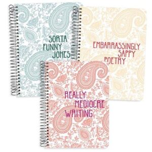 Set of 3 Pamela Barsky Journal Notebooks: Really Mediocre Writing, Embarrassingly Sappy Poetry, AND Sorta Funny Jokes-7.5 x 9.5