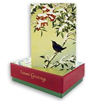 Close up: K. Koizumi Holiday Card Set of 20 Full Color Winter Wren Holiday card with NO Pesky Slogan or Text!